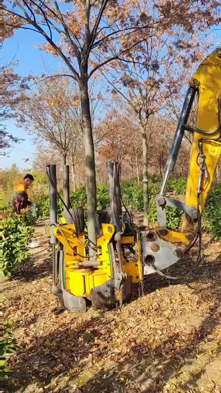 tree digger